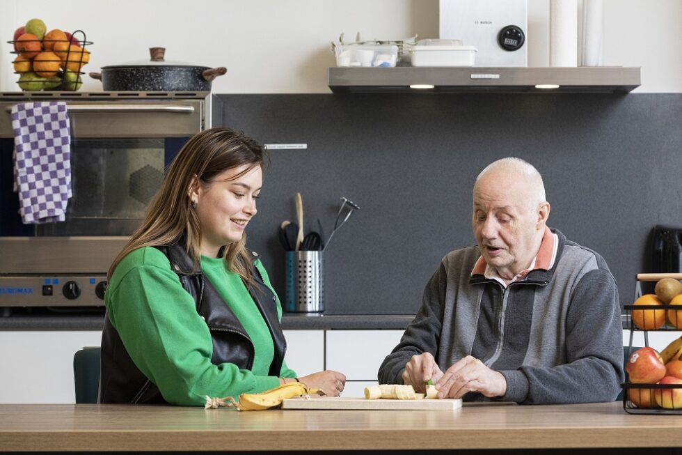 Wet Langdurige Zorg - Het Raamwerk